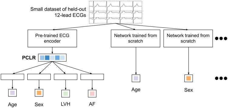 Fig 6