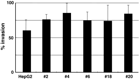 Fig. 6