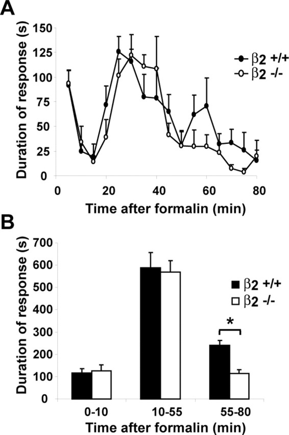 Figure 11.