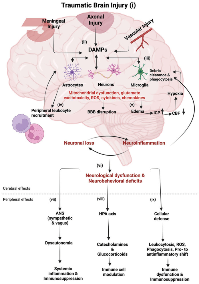 Figure 1: