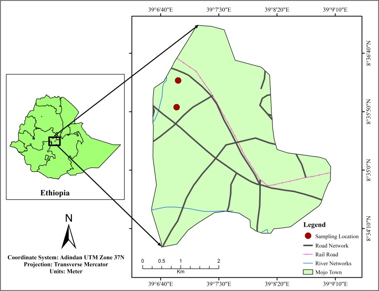 Fig 1