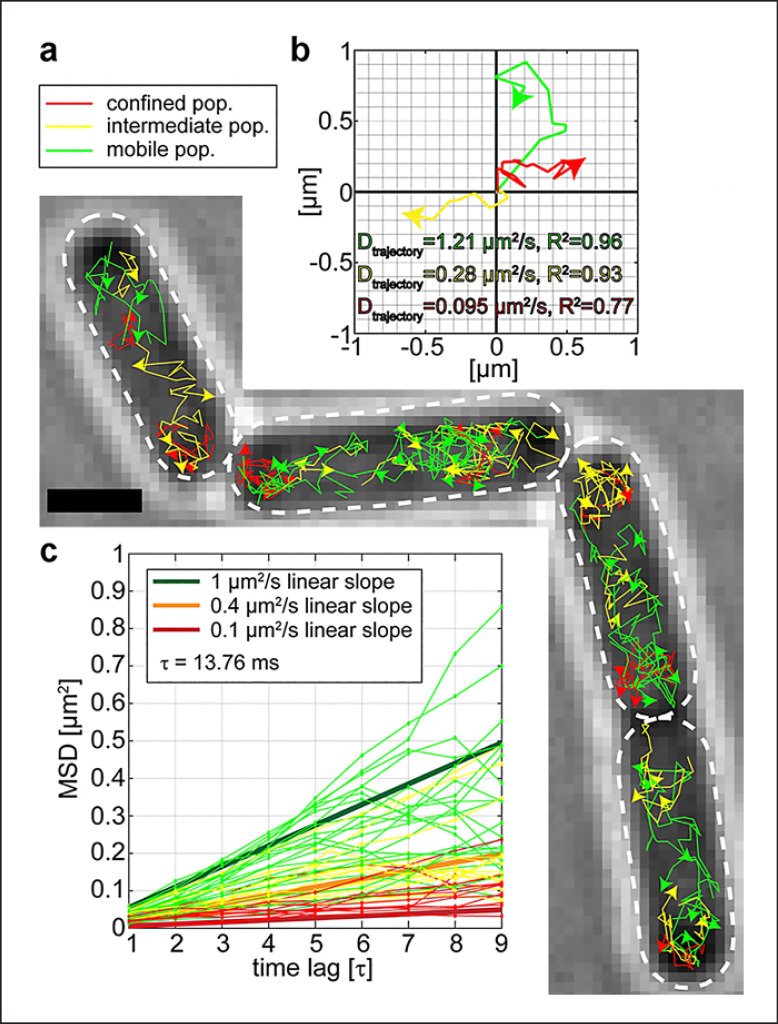 Fig. 3