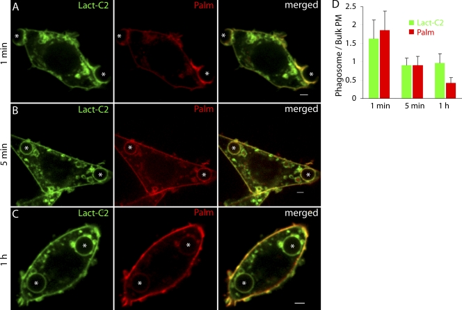 Figure 3.