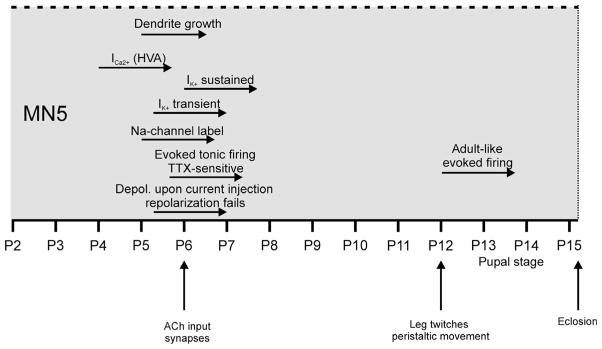 Fig. 8