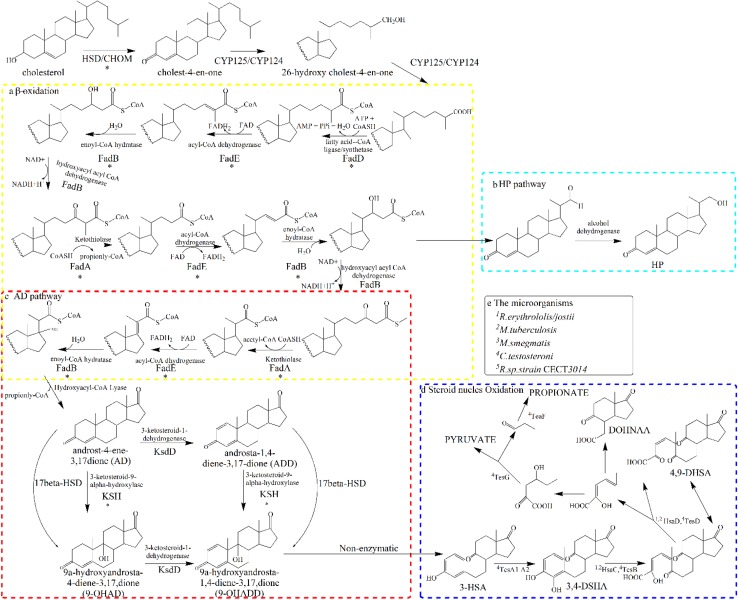 Fig. 7