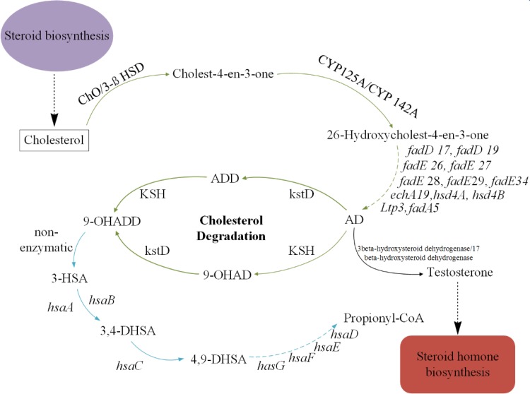 Fig. 4