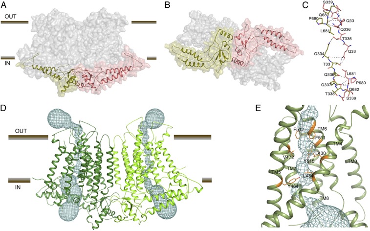 Fig. 2.