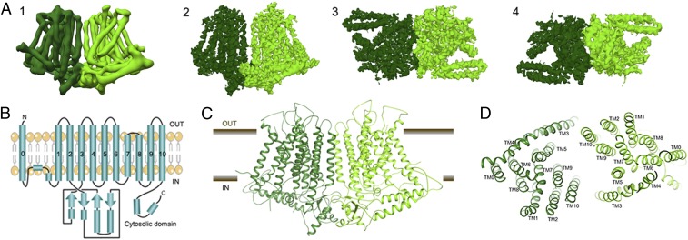 Fig. 1.