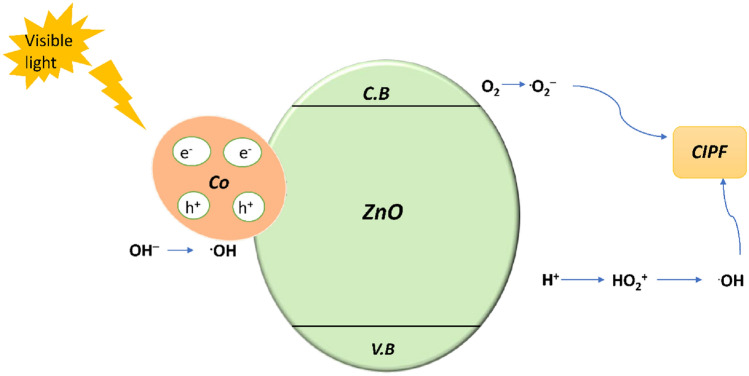 Figure 19