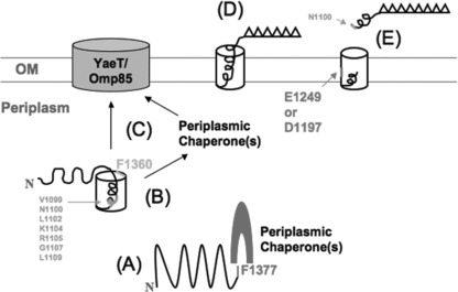 FIG. 6.