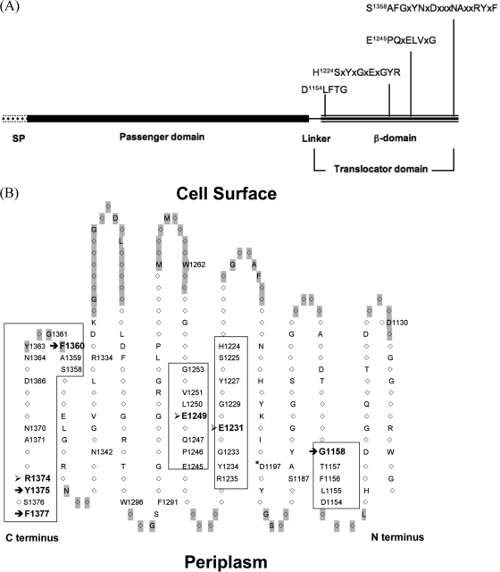 FIG. 1.