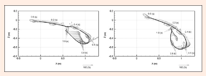 Figure 17.