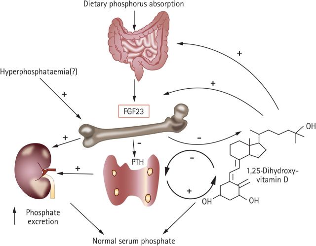 Fig. 2.