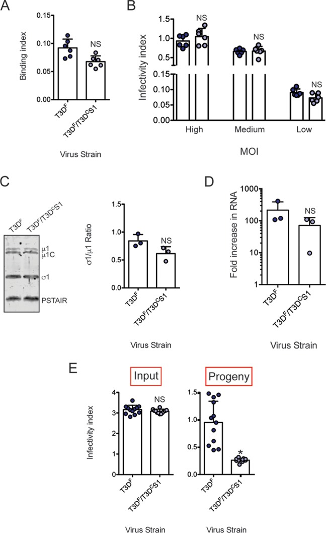 FIG 4