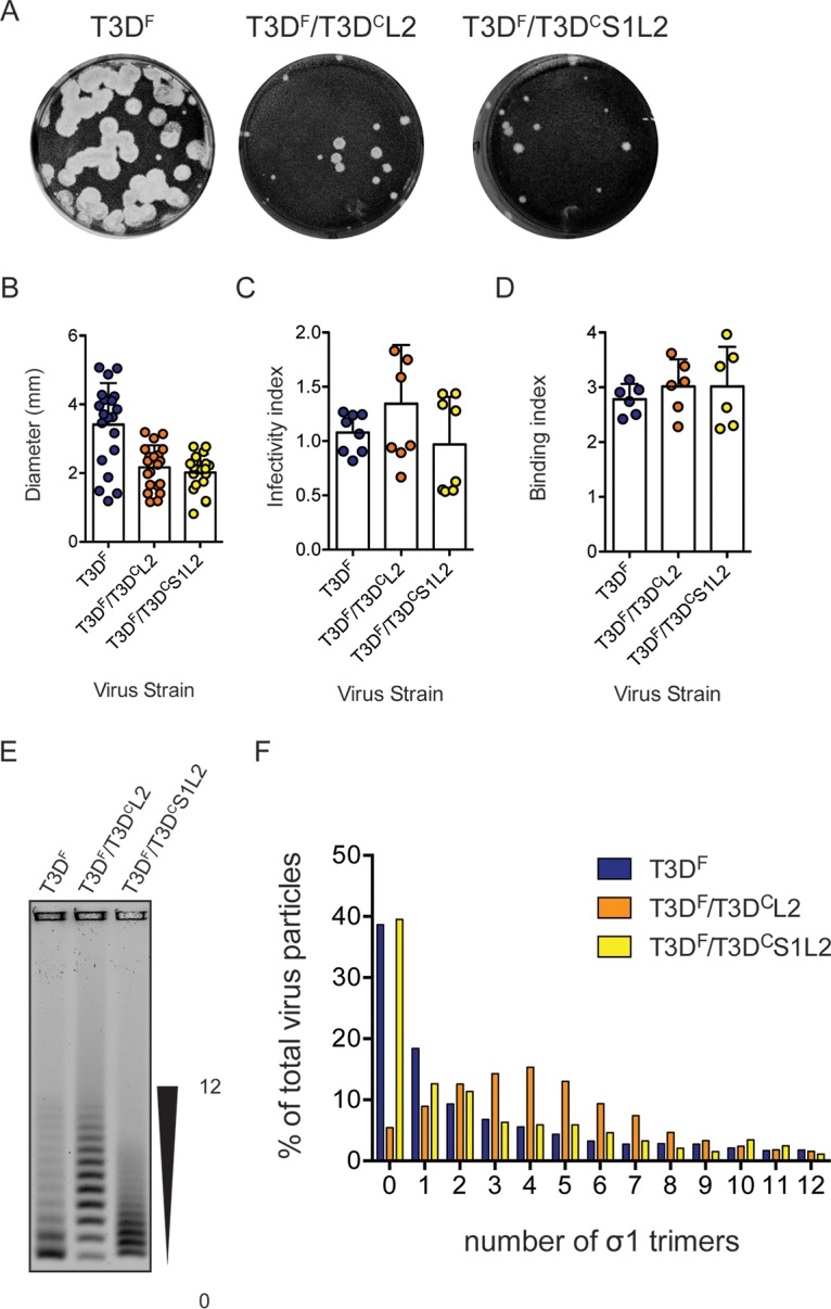 FIG 6