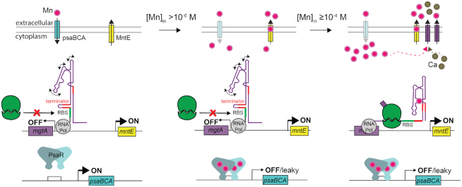 Figure 11.