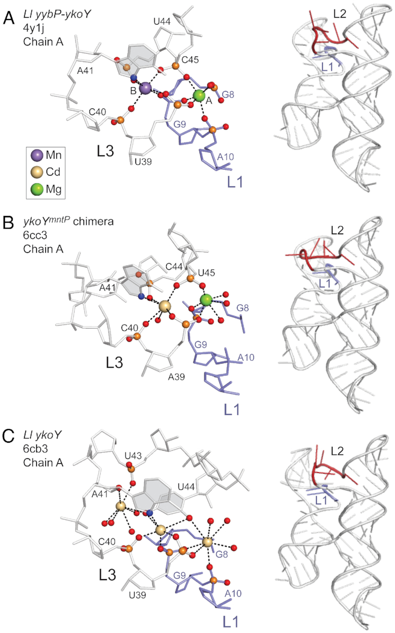 Figure 2.