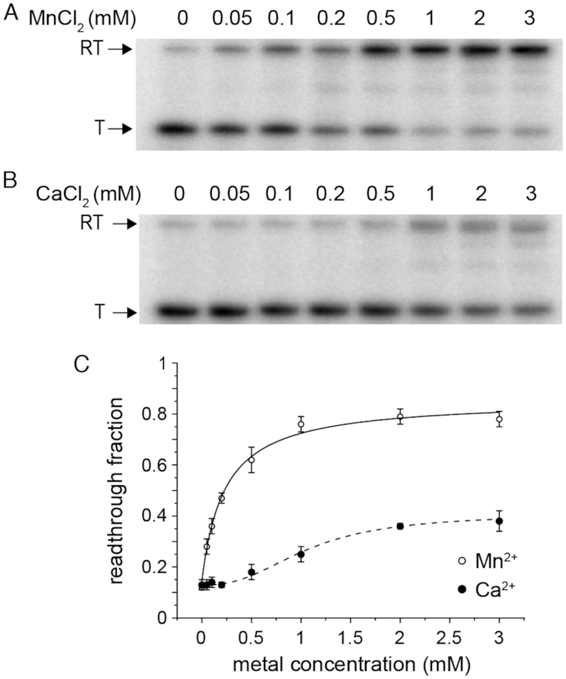 Figure 7.