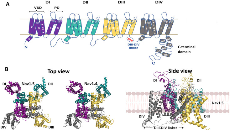 Figure 1.