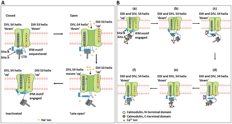 Figure 4.