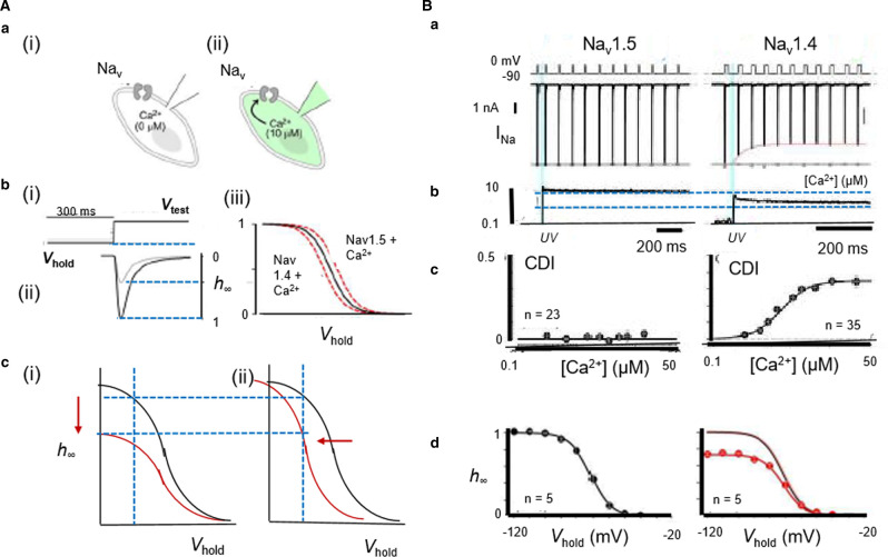 Figure 5.