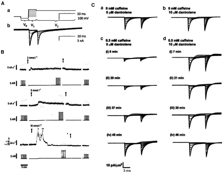 Figure 6.