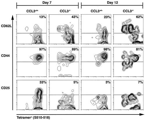 FIG. 5.