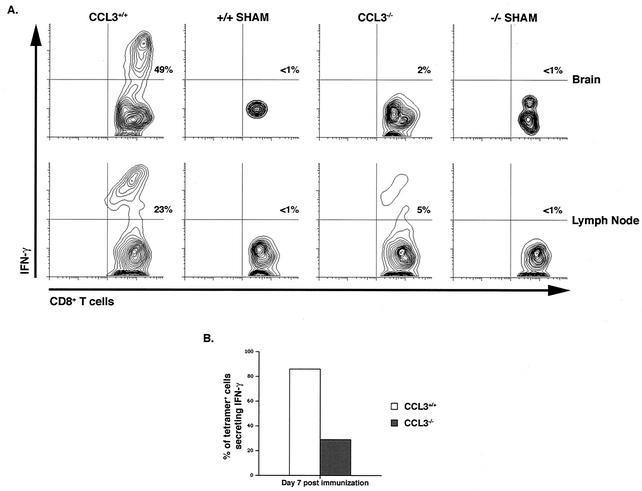 FIG. 7.