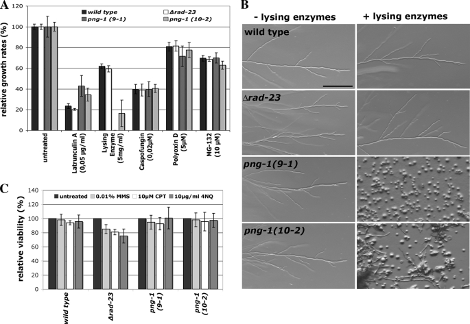 FIGURE 2.