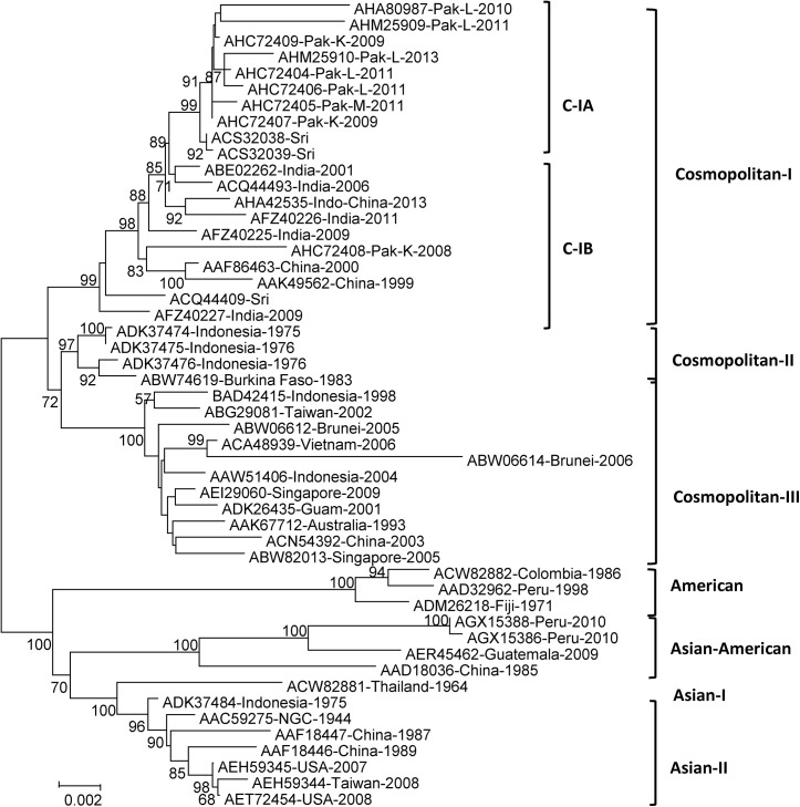 Fig 2