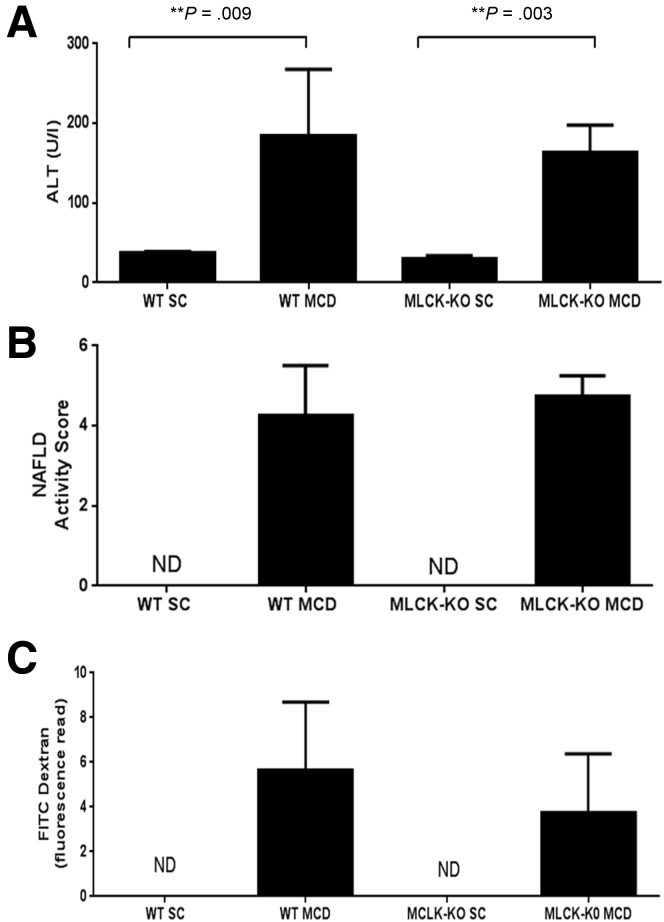 Figure 5