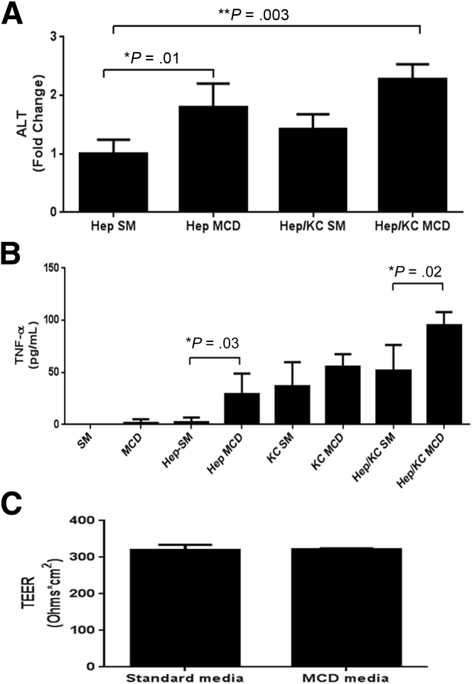 Figure 4