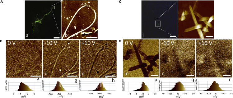 Figure 3