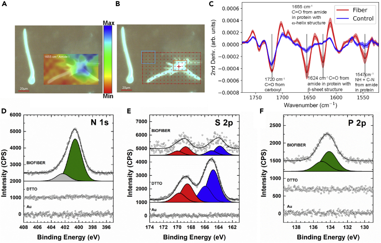 Figure 4