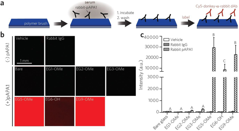 Figure 2 |