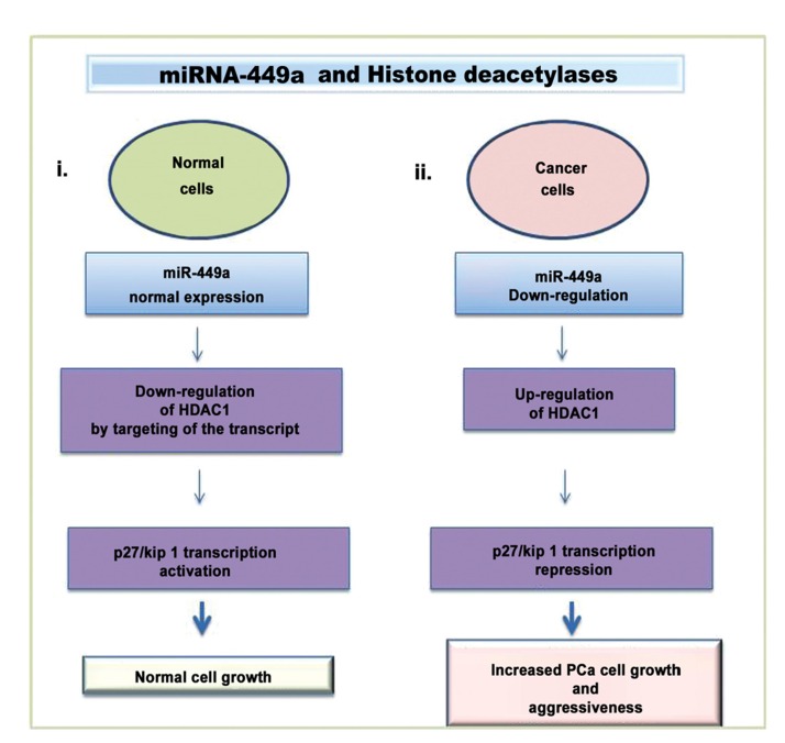 Fig. (2)