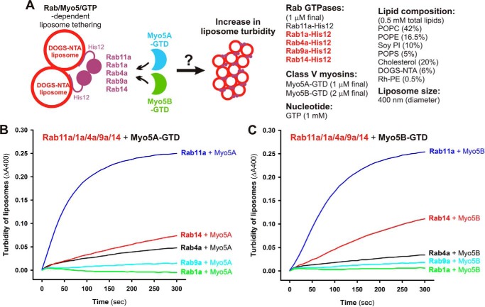 Figure 10.