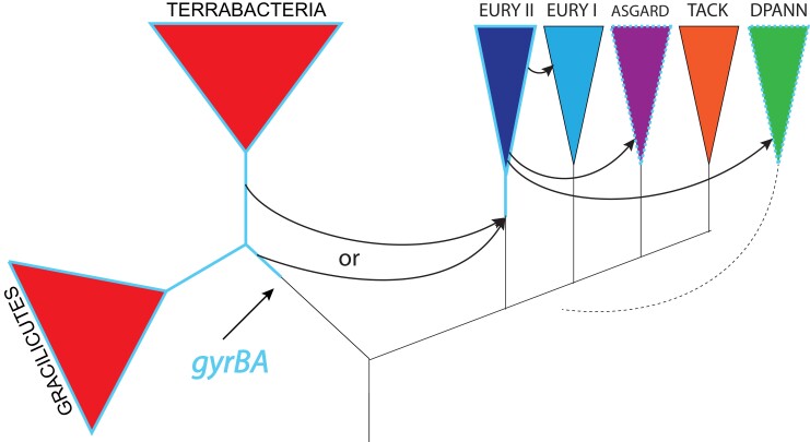 Fig. 9.