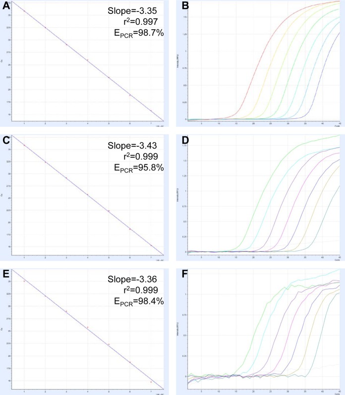 FIG 2