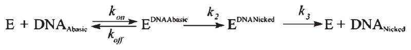 Scheme 4