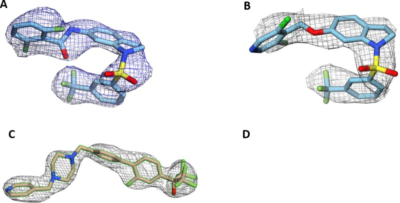 Figure 2—figure supplement 1.