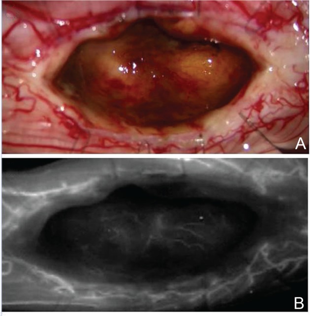 Fig. 8.