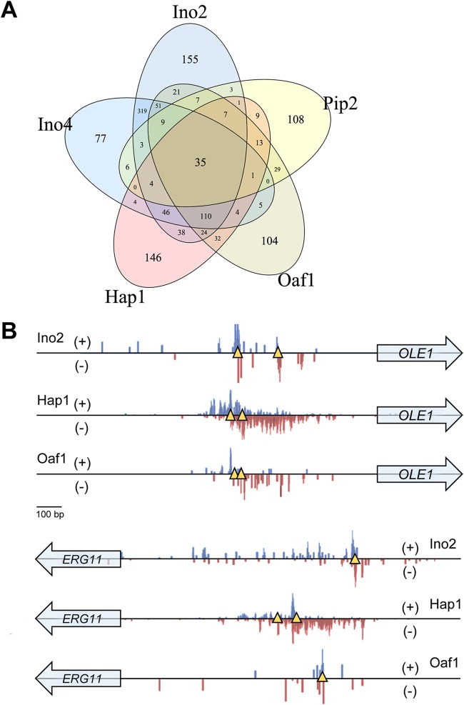 FIG 2 