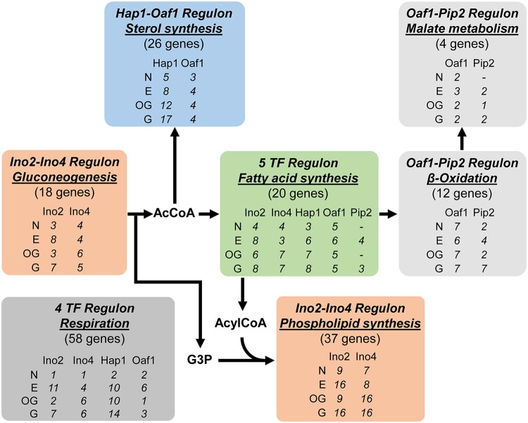 FIG 5 