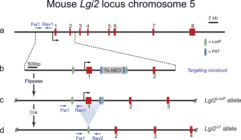 Figure S1.