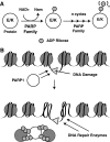 FIG. 7.