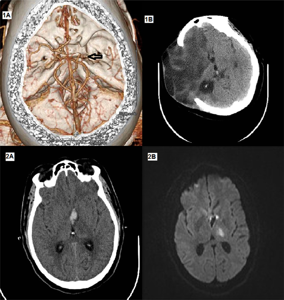 FIGURE 2