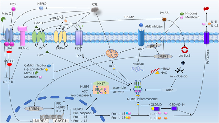 Figure 2