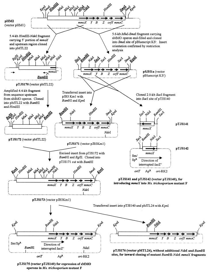 FIG. 2.