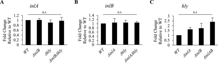 FIG 1